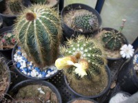 Produto 3